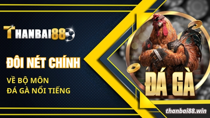 Luật Đá Gà Miền Nam - Quy Tắc Chung Trước Các Trận Đấu 1 Đôi nét chính về bộ môn đá gà nổi tiếng
